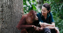 Among the Great Apes with Michelle Yeoh, National Geographic